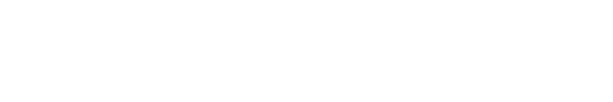 Icon-image